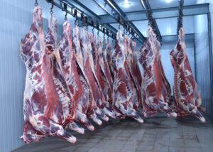 Wholesale Super Beef